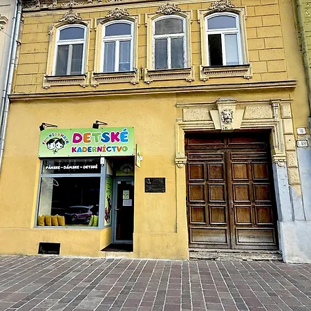 Mestiansky Dom 3 Apartment *